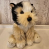 Westie - Perro