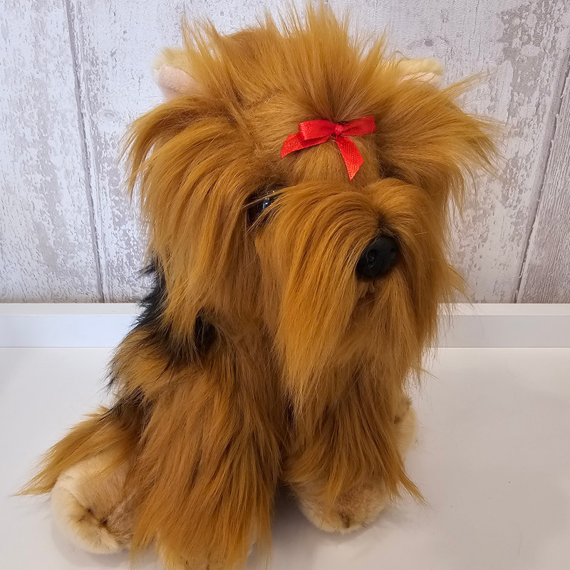 Yorkshire - perro