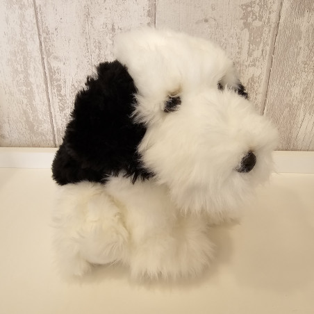 Bobtail - perro
