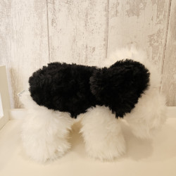 Bobtail - perro