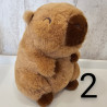 Cuddly el Capibara - Kawaii Kuties
