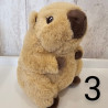 Cuddly el Capibara - Kawaii Kuties
