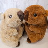 Cuddly el Capibara - Kawaii Kuties
