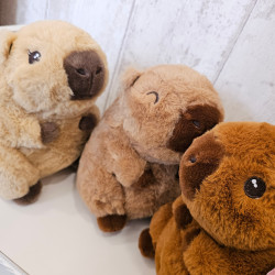 Cuddly el Capibara - Kawaii Kuties