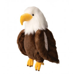 Scout el águila