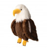 Scout el águila