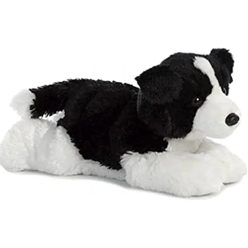 Border Collie - perro