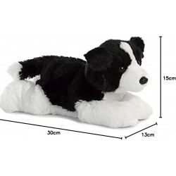 Border Collie - perro