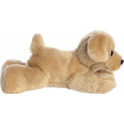 Golden Terrier - perro