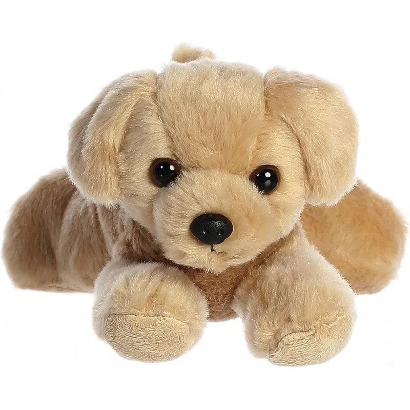 Golden Terrier - perro
