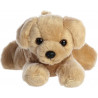 Golden Terrier - perro