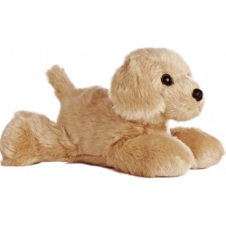 Golden Terrier - perro