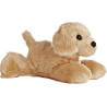 Golden Terrier - perro