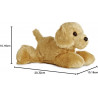 Golden Terrier - perro