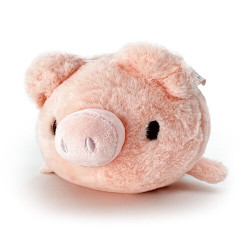 Pancho el cerdito