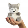 Busky el Husky - perro Palm Pals