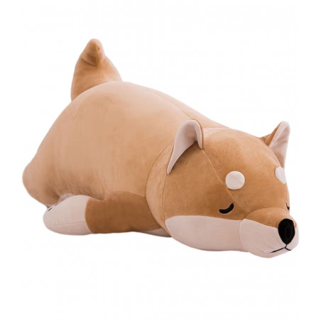 Kotaro Akita Inu 55cm - perro akita shiba