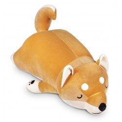 Kotaro Akita Inu 55cm - perro akita shiba