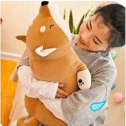 Kotaro Akita Inu 55cm - perro akita shiba