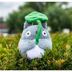 Totoro - Mi Vecino Totoro / Tonari no Totoro - Ghibli Official