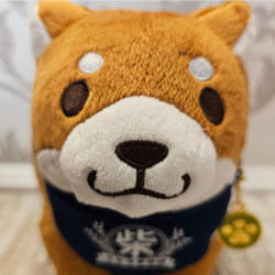 Chūken Mochi Shiba - perro shiba