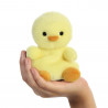 Betsy el pollito - Palm Pals
