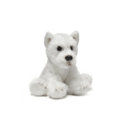 Terrier - perro