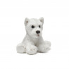 Terrier - perro
