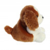 Cocker Spaniel